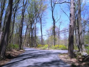 Buttonwood Corners